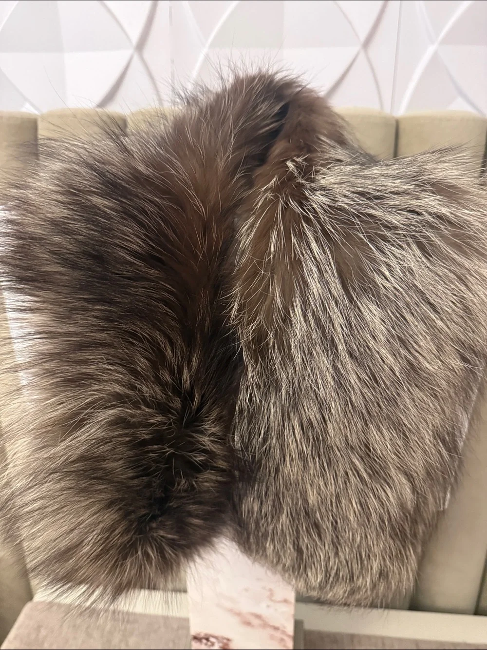 N/A silver fox